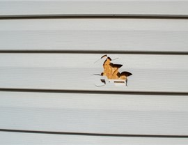 Siding - Siding Repair Photo 19