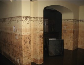 Residential Water Mitigation Photo 2