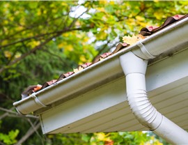 Gutter Guards Photo 3