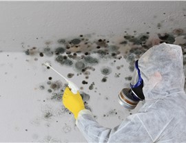 Metro Mold Remediation Photo 3