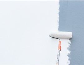 Exterior Painting Photo 3