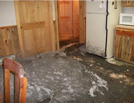 Mold Remediation Photo 3