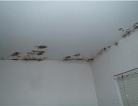 Metro Mold Remediation Photo 2
