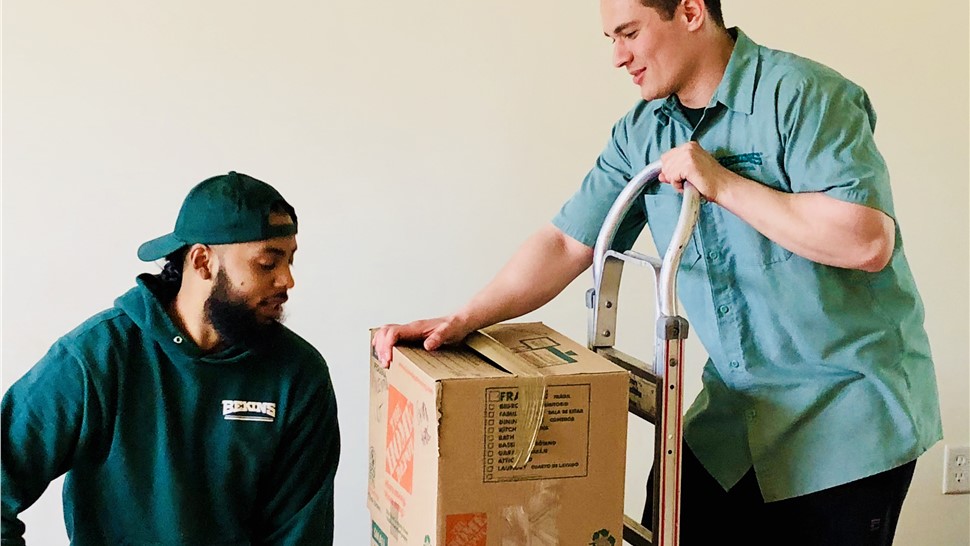 Labor-Only Moving Help Photo 6