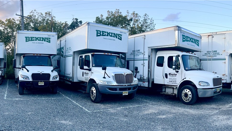 Professional Photo 25