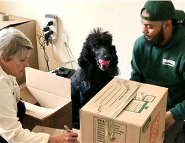 Labor-Only Moving Help Photo 59