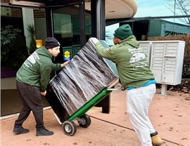 Professional Photo 81