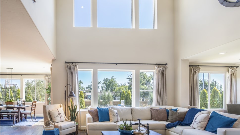 Window cost pg Photo 92