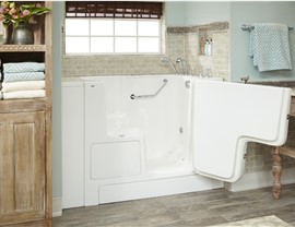 2023 Walk In Tubs Photo 2