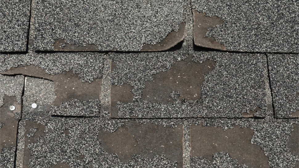 Storm Damage Photo 69