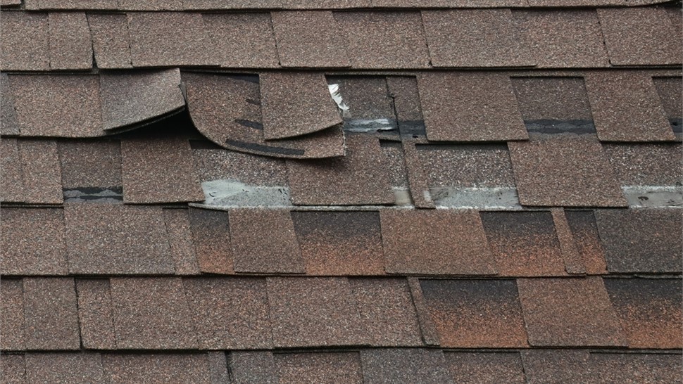 Storm Damage Photo 4