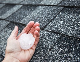 Storm Damage - Hail Damage Photo 10