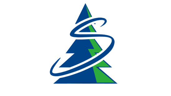 Sticks Tree & Trimmings