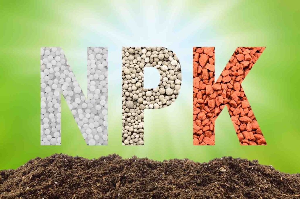 How To Care For Your Lawn During A Drought