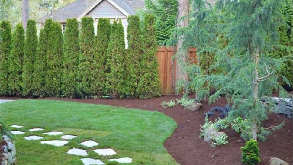 Shrubs and Bushes Photo 2