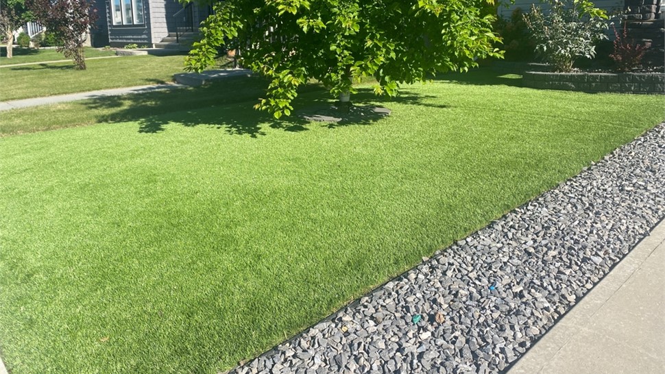 Artificial Turf Photo 99