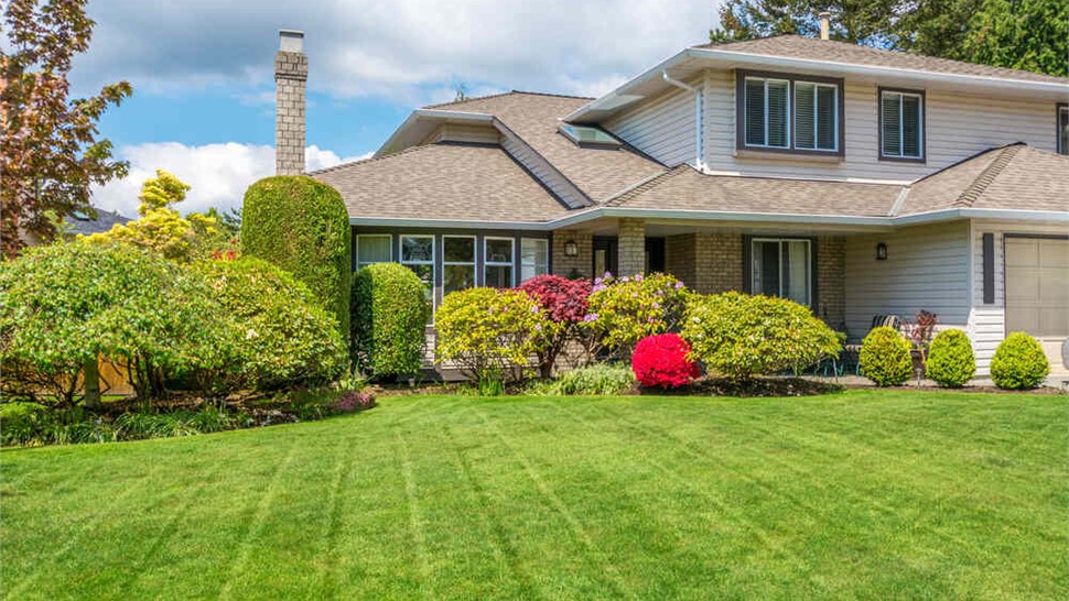 Landscaping Photo 86