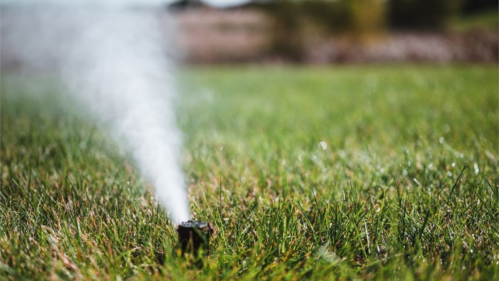 Sprinkler Winterization Photo 20