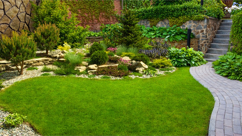 Landscape Designing Photo 71