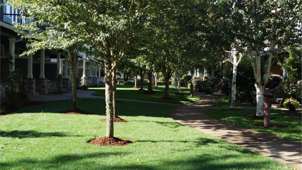 HOA Maintenance Photo 40