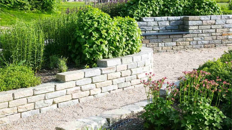 Bioswale Installation Photo 72