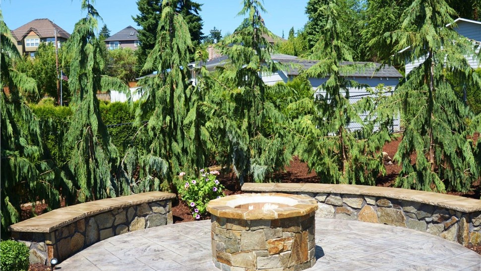 Landscaping Photo 30