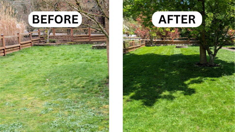 Before & after Photo 27