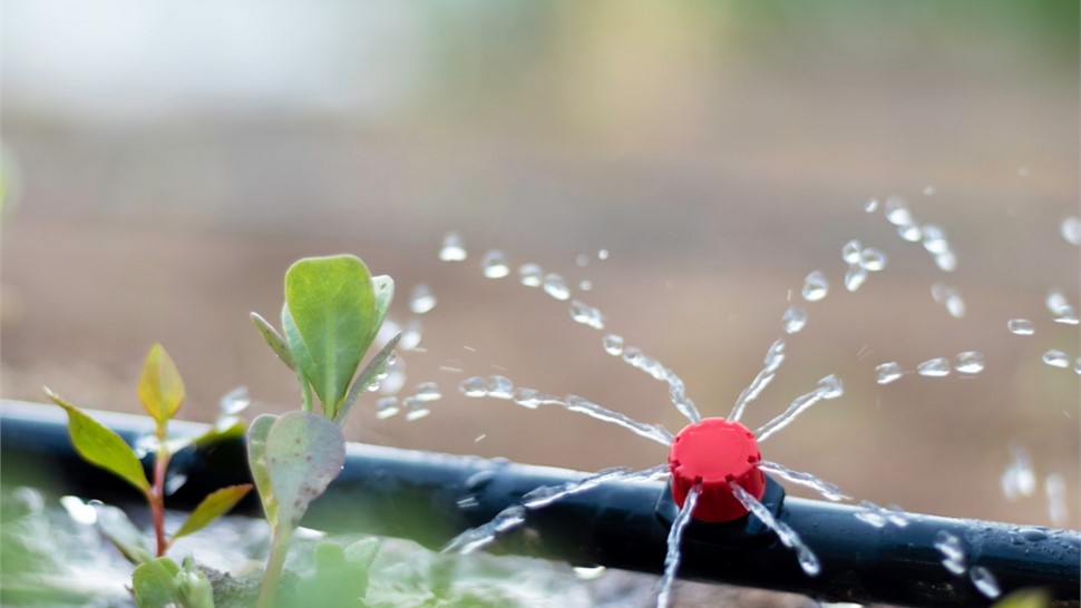 Drip Irrigation Photo 30