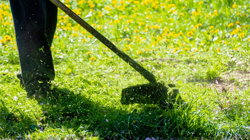 Maintenance Program Photo 66