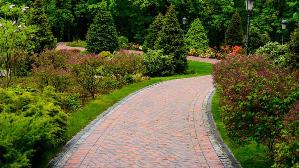 Commercial Landscape Maintenance Photo 8