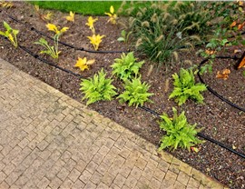 Drip Irrigation Photo 52