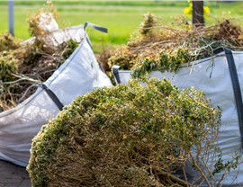 Yard Cleanup Photo 72