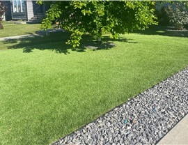 Artificial Turf Photo 99