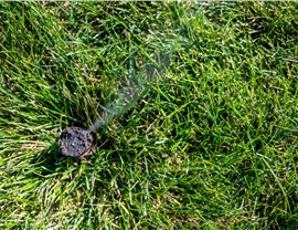 Sprinkler Winterization Photo 55