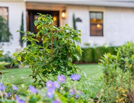 HOA Maintenance Photo 86