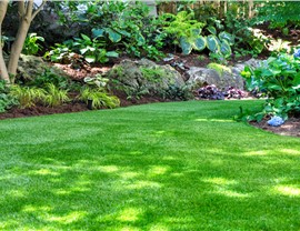 Artificial Turf Photo 87