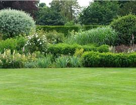 Landscape Designing Photo 89