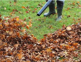 Yard Cleanup Photo 50