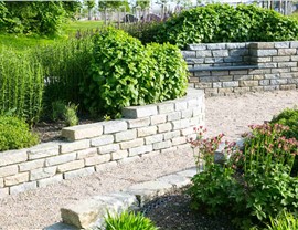 Shrubs and Bushes Photo 98