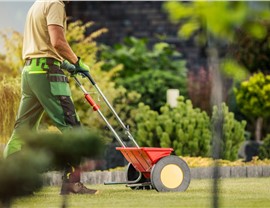 Lawn Fertilization Photo 70