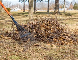 Fall Cleanup Photo 88