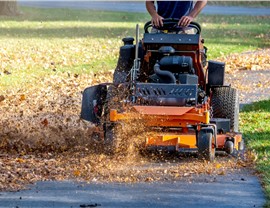 Fall Cleanup Photo 22