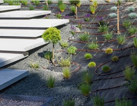 Drip Irrigation Photo 86