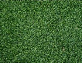 Artificial Turf Photo 74