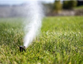 Sprinkler Repair Photo 3