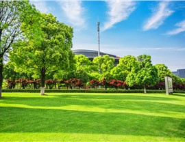 Commercial Landscape Installation Photo 88