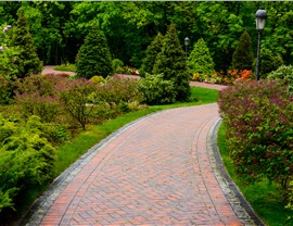 Commercial Landscape Installation Photo 91