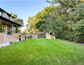 Lawn Fertilization Photo 51