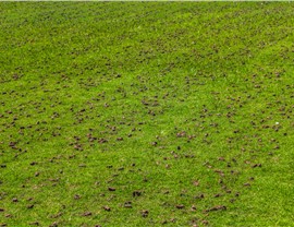 Maintenance Photo 64