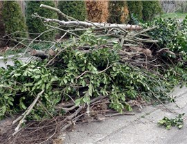 Yard Cleanup Photo 27